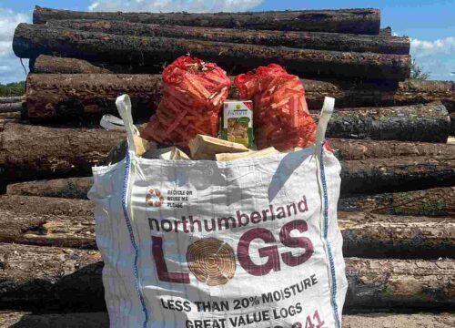 fire starter logs North East