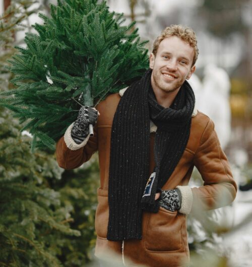 Real christmas trees Durham 2