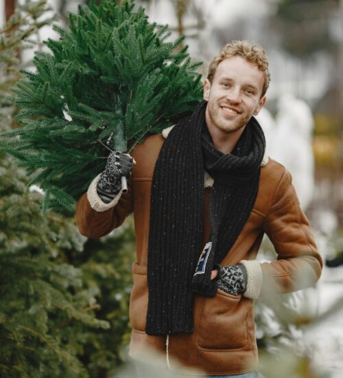 Real christmas trees Newcastle 2