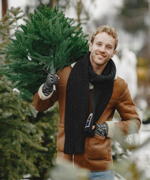 Real christmas trees Northumberland 2