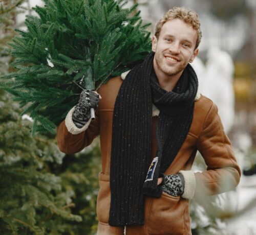pick your own christmas tree Newcastle 2