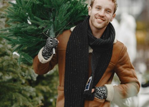 pick your own christmas tree Sunderland 2 pick your own christmas tree Sunderland 2