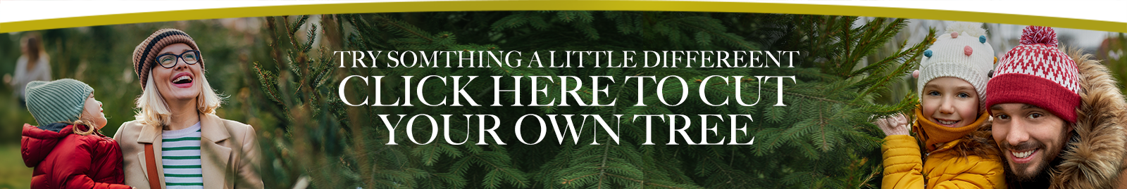 Christmas Trees Link Banner