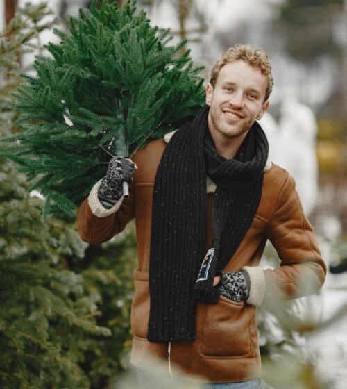 fresh christmas tree Sunderland 2